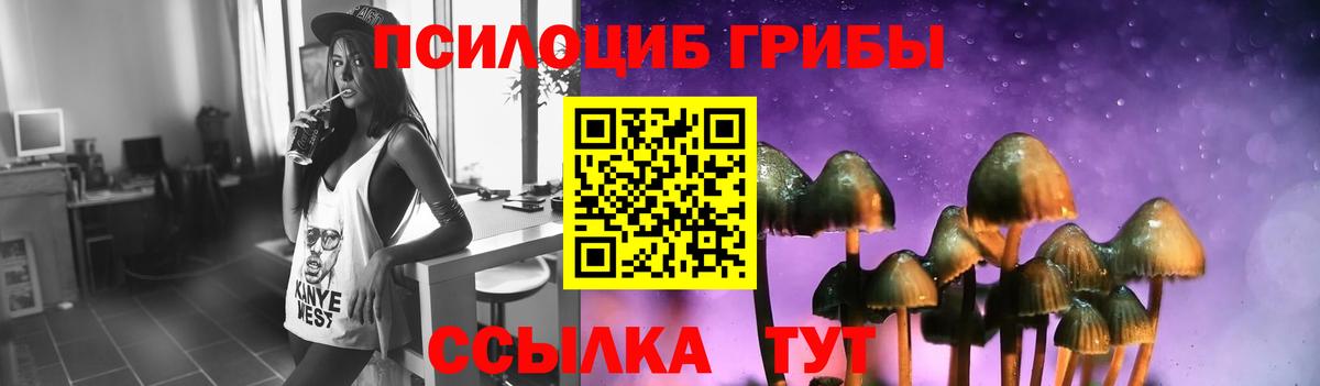 Балашов  Галлюциногенные грибы Cubensis  Вход с VPN 